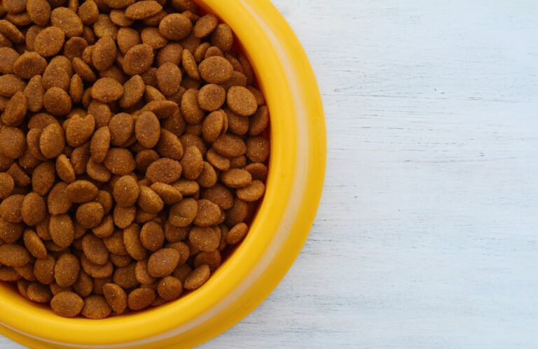 Worst dry dog food brands